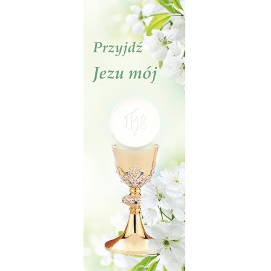 Baner na Pierwszą Komunię Świętą /BR 881