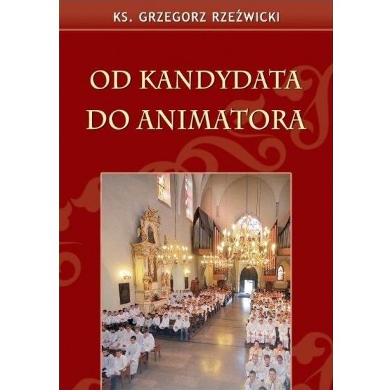 Od kandyta do animatora