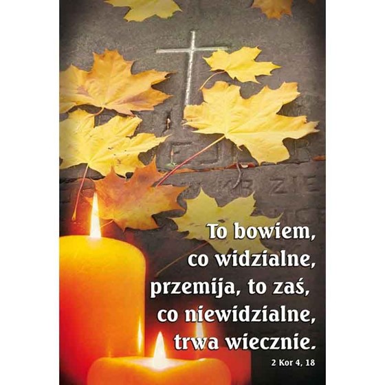 To bowiem co widzialne (All-081)