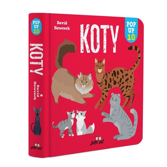 Koty. Ilustracje przestrzenne