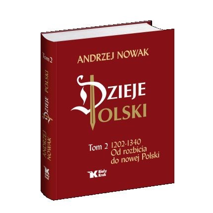 Dzieje Polski /tom 2