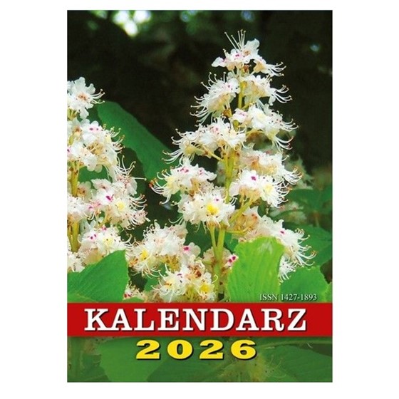 Terminarz: Kasztan (Misj-kieszonkowy)