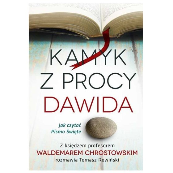 Kamyk z procy Dawida