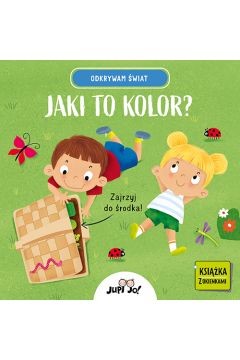 Jaki to kolor? Odkrywam świat