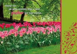 Kartki - seria Tulipany  / 60szt
