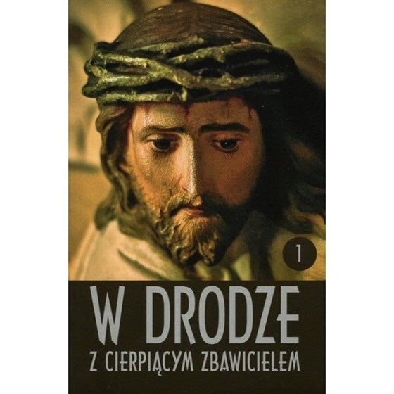 W drodze z cierpiącym Zbawicielem /T.1