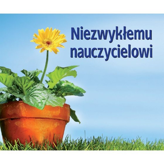 Dla Nauczyciela /Perełki