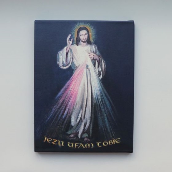 Obraz na płótnie - Jezus Miłosierny (30x40cm)