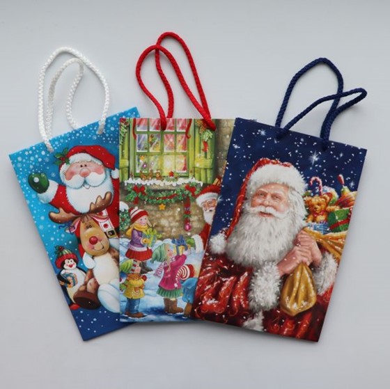Torba /16x24cm  (PM T3-Św. Mikołaj)