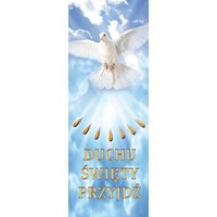 Duch Święty /A 363