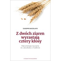 Z dwóch ziaren wyrastają cztery kłosy