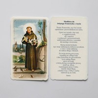 Święty Franciszek z Asyżu /brokat