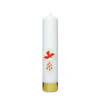 Świeca spalająca - wys. 30cm, śr.60mm (W-O5)